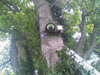 mobotix cctv installation