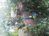 mobotix cctv installation
