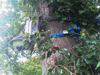 mobotix cctv installation