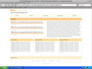 text only web sites from £20.00